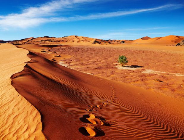 Are solar parks in the Sahara making climate change worse?